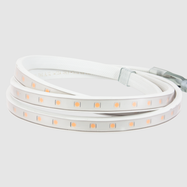 Screenshot 2022-11-02 090849